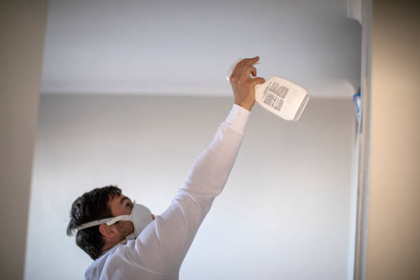 Best Mold Removal Company Near Me  in Elmhurst, IL