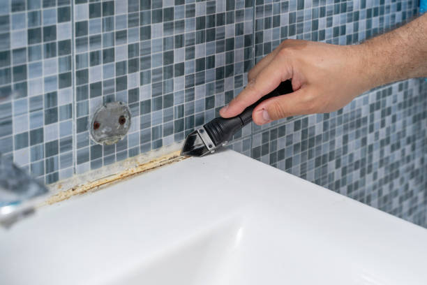 Best Fast Mold Removal  in Elmhurst, IL